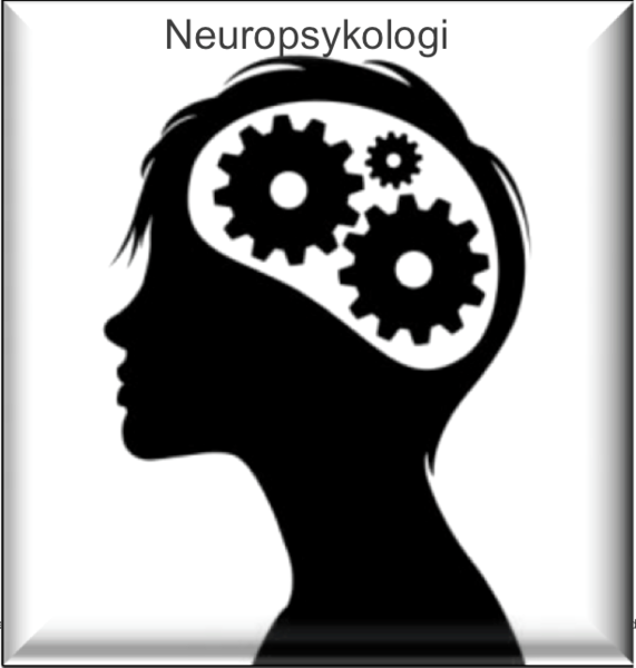 Fil:Neuropsyk 3D txt.png
